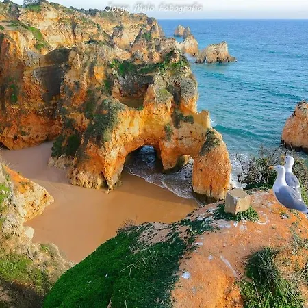Santo Amaro - D Lagos